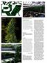 Page: - 112 | High Times