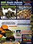 Page: - 135 | High Times