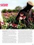 Page: - 61 | High Times