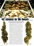 Page: - 64 | High Times
