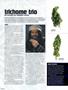 Page: - 76 | High Times