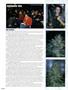 Page: - 80 | High Times
