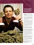 Page: - 93 | High Times
