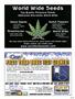 Page: - 99 | High Times