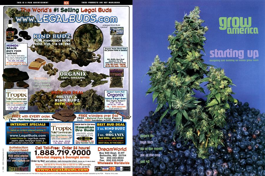grow america