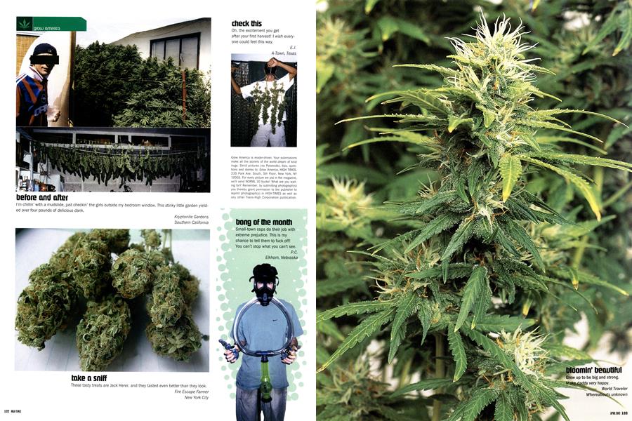 grow america