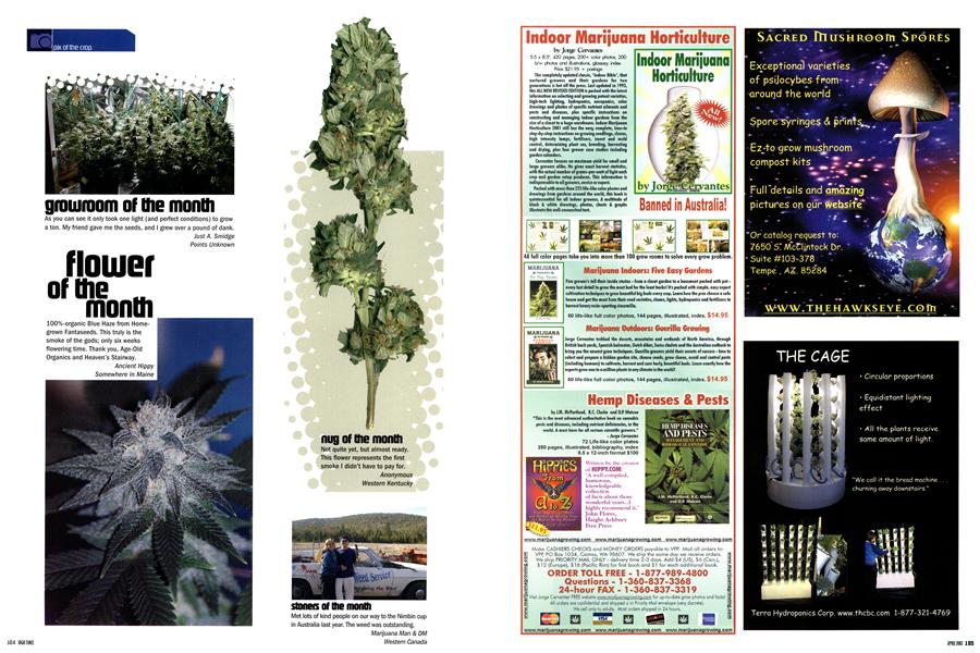 flower of the month