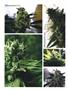 Page: - 108 | High Times