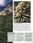 Page: - 57 | High Times