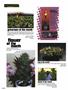 Page: - 86 | High Times