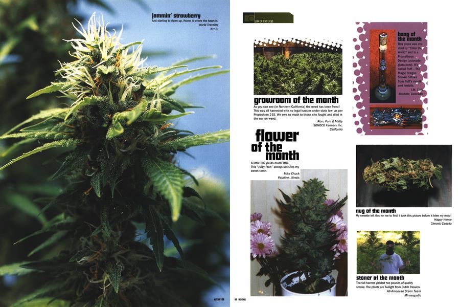 pix of the crop