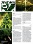 Page: - 108 | High Times