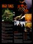 Page: - 4 | High Times