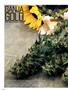 Page: - 60 | High Times