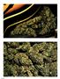 Page: - 62 | High Times