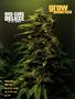 Page: - 91 | High Times