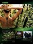 Page: - 92 | High Times