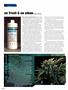 Page: - 96 | High Times