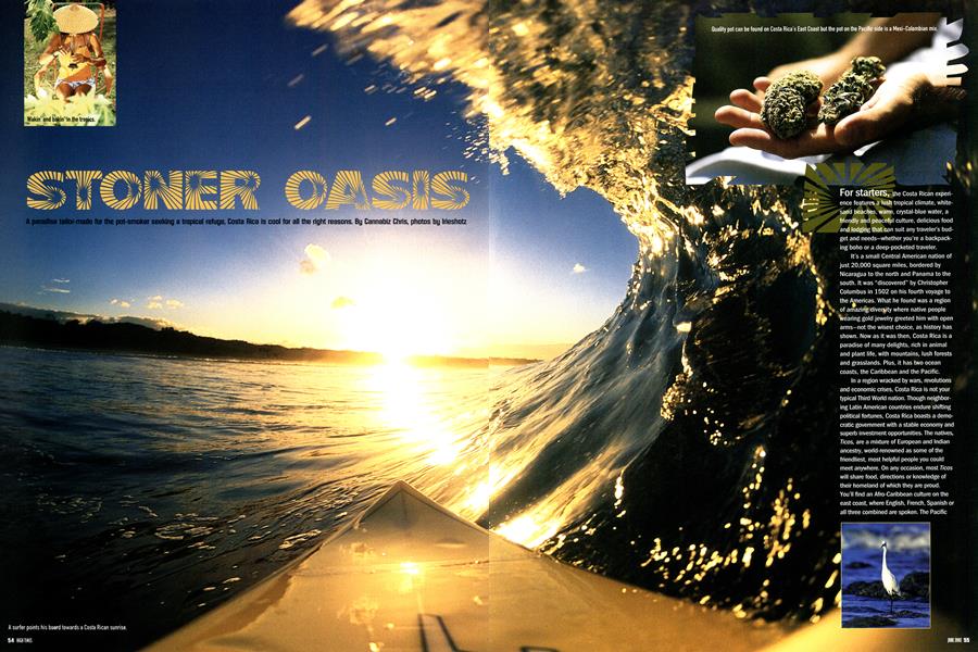 STONER OASIS