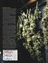 Page: - 56 | High Times