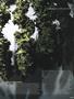 Page: - 57 | High Times