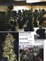 Page: - 88 | High Times