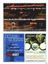 Page: - 91 | High Times