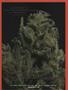 Page: - 92 | High Times