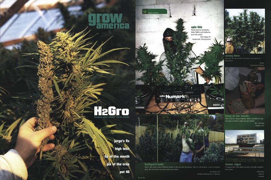 grow america