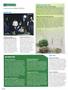 Page: - 38 | High Times