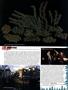 Page: - 67 | High Times