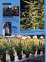 Page: - 88 | High Times