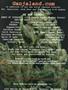 Page: - 99 | High Times