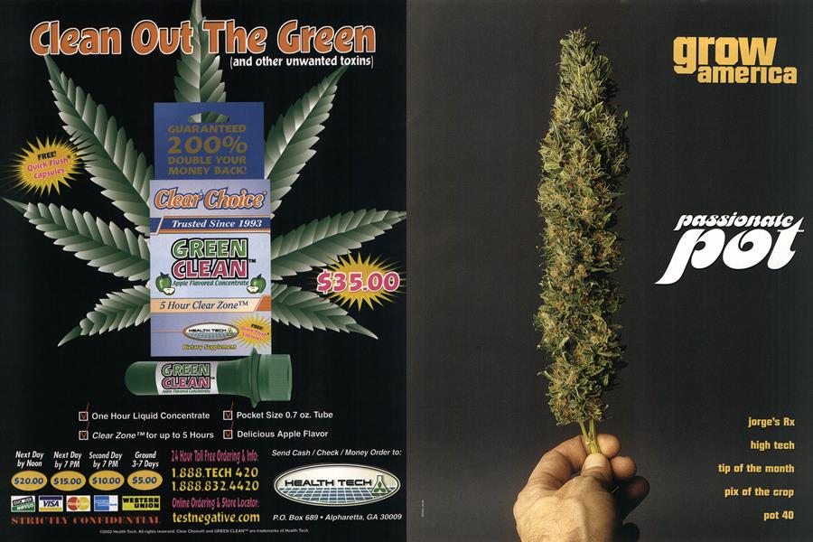 grow america