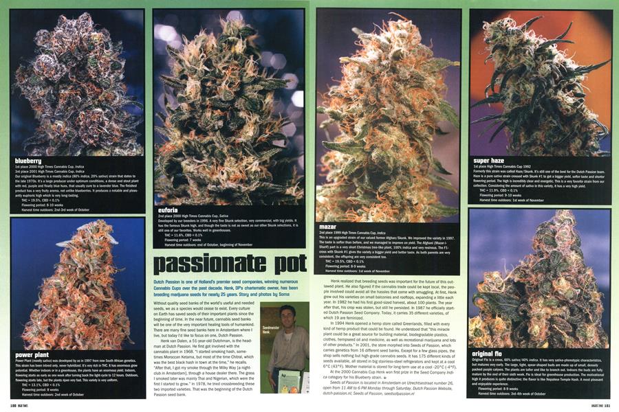 passionate pot