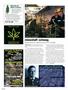 Page: - 28 | High Times