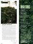 Page: - 6 | High Times