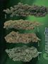 Page: - 60 | High Times