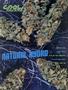 Page: - 85 | High Times