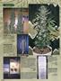 Page: - 86 | High Times