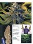 Page: - 88 | High Times