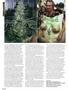 Page: - 100 | High Times