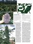 Page: - 104 | High Times