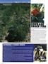 Page: - 12 | High Times