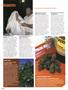 Page: - 38 | High Times