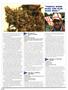 Page: - 46 | High Times