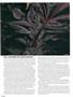 Page: - 64 | High Times