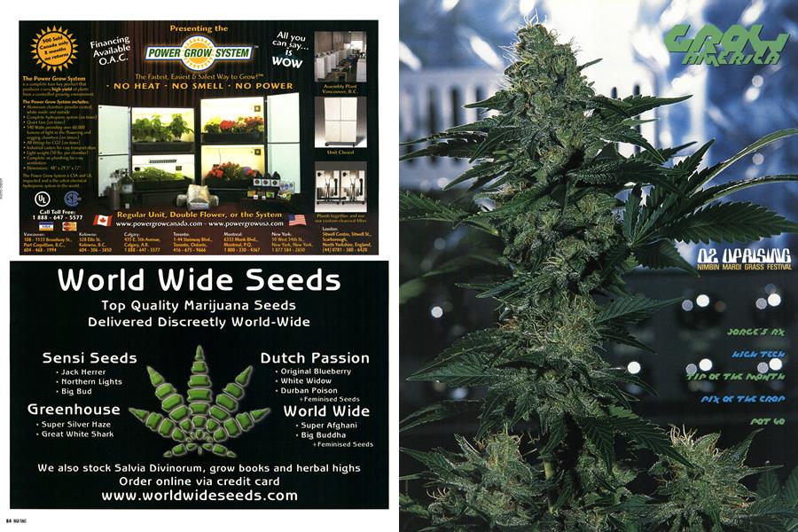 GROW AMERICA