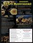 Page: - 101 | High Times