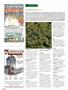 Page: - 102 | High Times